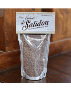ÉCLATS DE SALIDOU ARMORINE