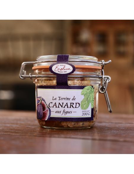 TERRINE DE CANARD AUX FIGUES TELME