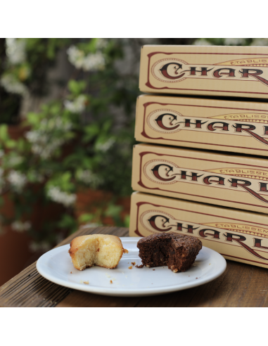 LOT 2 BROWNIES ET 2 4/4 CITRON