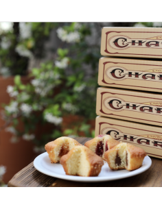 LOT Q/Q 1 ABRICOT-1 CACAO-1 FRAISE-1 NATURE