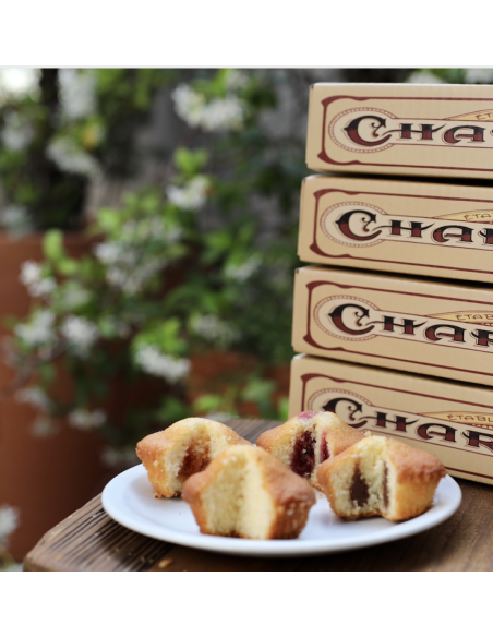 LOT Q/Q 1 ABRICOT-1 CACAO-1 FRAISE-1 NATURE