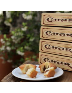 LOT DE 2 Q/Q CACAO ET 2 FINANCIERS
