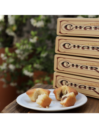 LOT DE 2 Q/Q CACAO ET 2 FINANCIERS