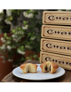 LOT DE 2 Q/Q CACAO ET 2 FINANCIERS 2