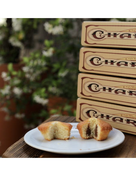LOT DE 2 Q/Q CACAO ET 2 FINANCIERS