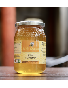 MIEL D'ORANGER 500 G CHAILAN