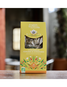 INFUSION CITRONELLE & GINGEMBRE 15 SACHETS  BIO