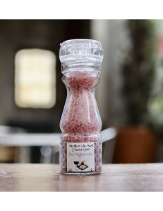 MOULIN SEL DE CAMARGUE LE VIGNERON