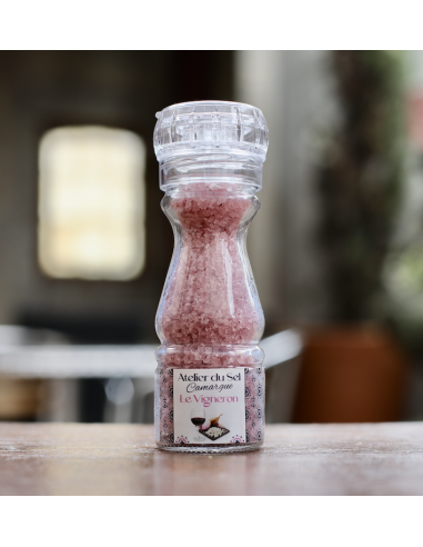 MOULIN SEL DE CAMARGUE LE VIGNERON