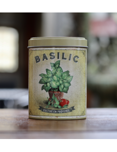 BASILIC ESPRIT DE PROVENCE