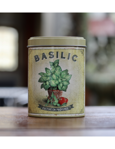 BASILIC ESPRIT DE PROVENCE