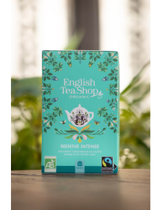 INFUSION MENTHE INTENSE 20 SACHETS BIO
