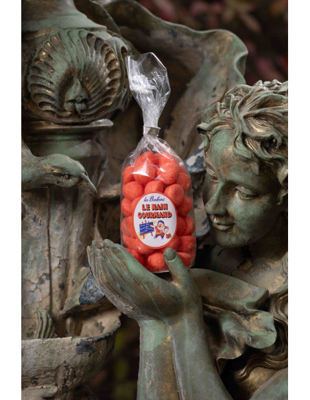 FRAISE TAGADA LE NAIN GOURMAND