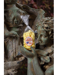 BANANE LE NAIN GOURMAND