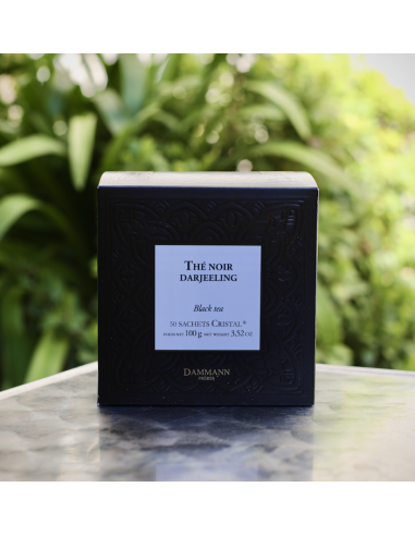 THÉ NOIR DARJEELING 50 SACHETS DAMMANN