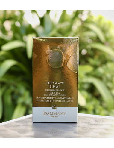THÉ GLACÉ CHAÏ DAMMANN