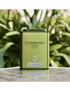 MATÉ CLÉMENTINE DAMMANN