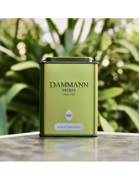 MATÉ CLÉMENTINE DAMMANN