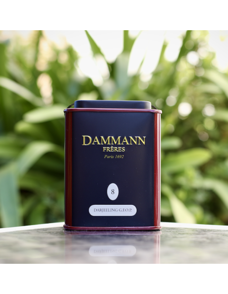 THÉ VRAC DARJEELING DAMMANN
