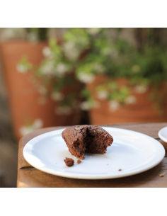 Brownies 2